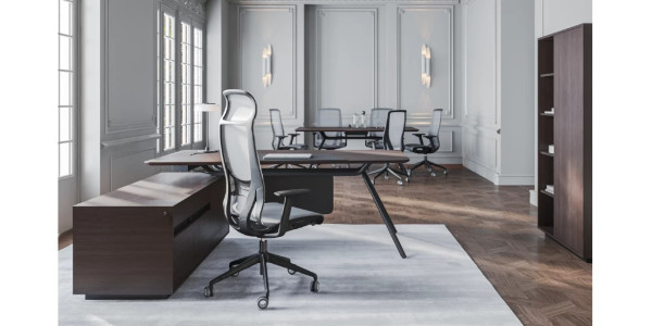 D-CHAIR